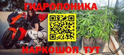 дурь Кандалакша