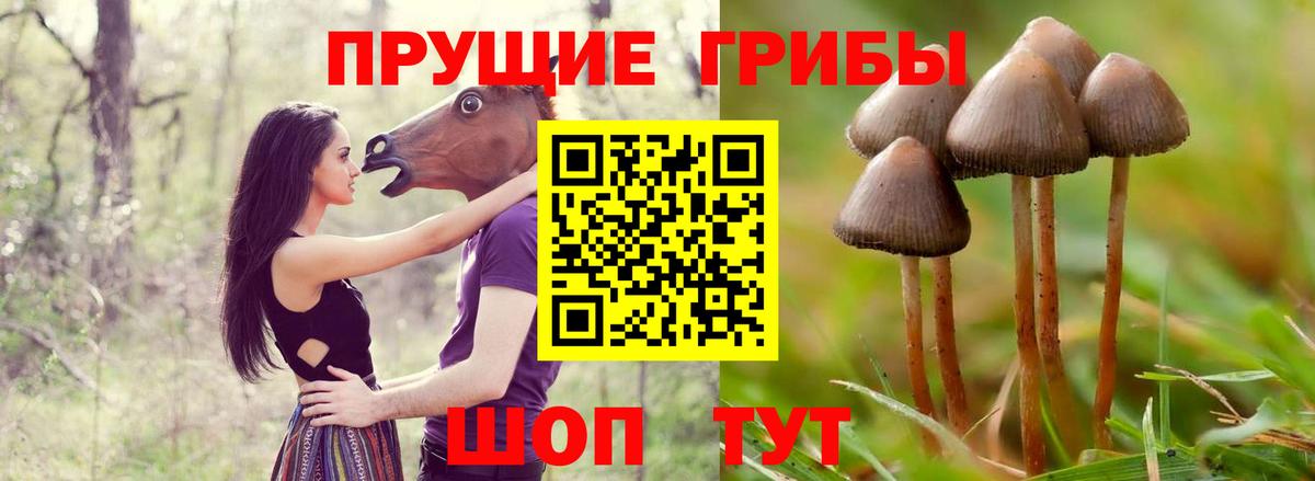 Галлюциногенные грибы мицелий Южноуральск