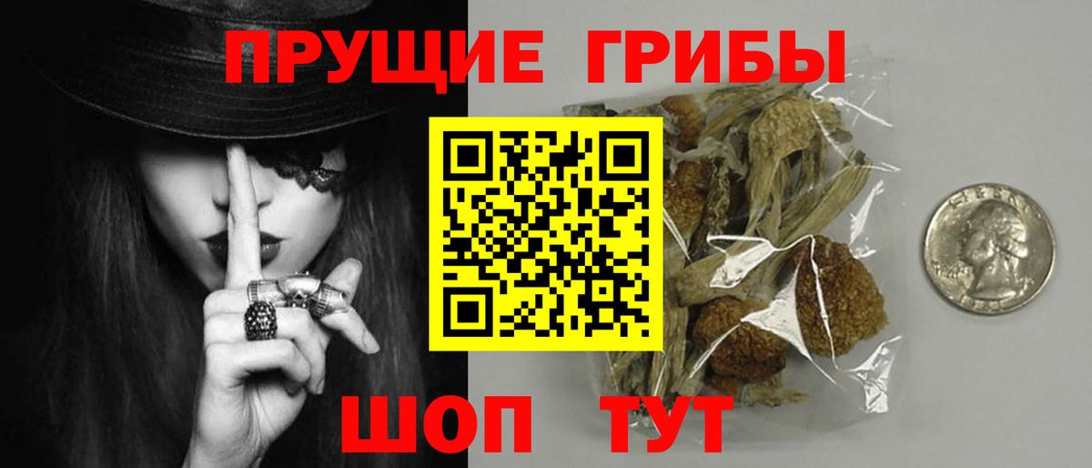 Южноуральск  Галлюциногенные грибы Psilocybe  Вход с VPN 